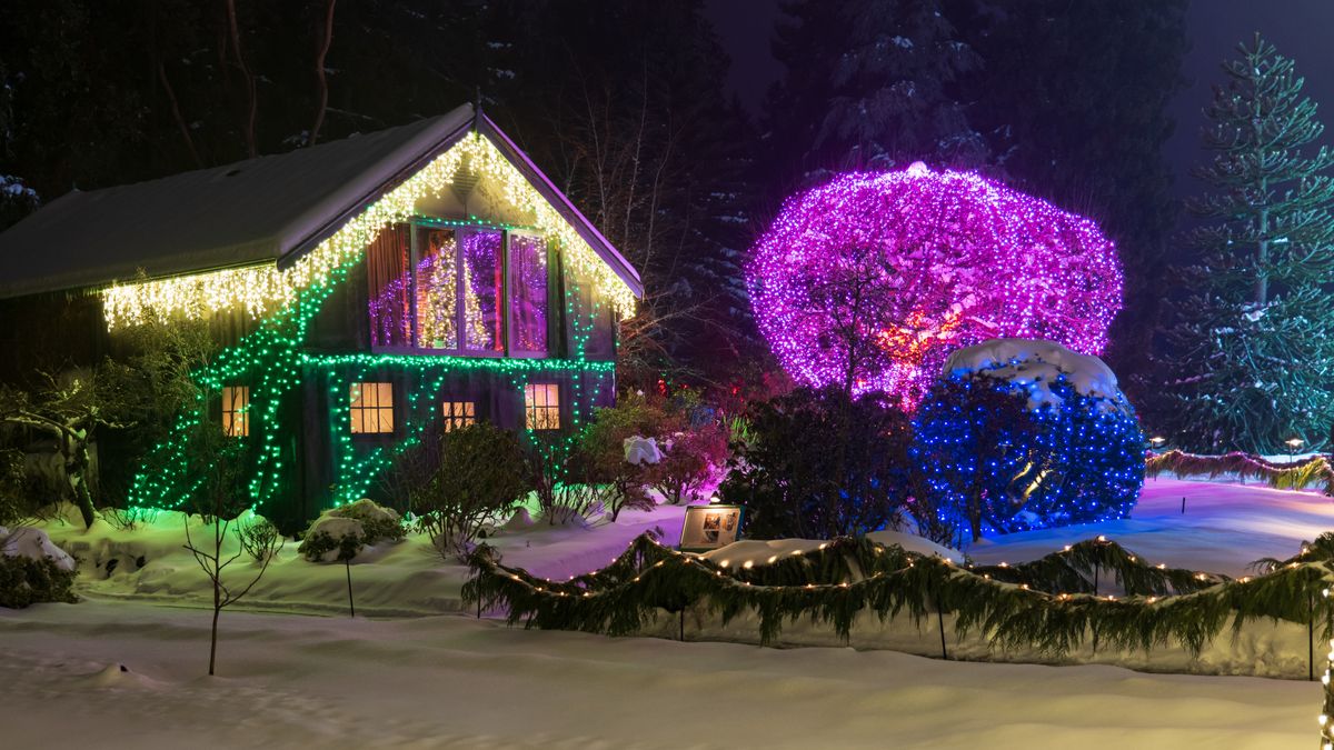 Professionally installed Christmas lights — Roofline + yard trees — <b>Overland Park</b>